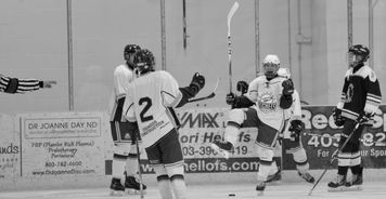 Kaiyun(中国)开云-世界冰球：加拿大队霸气夺冠，金牌大满贯！，冰球加拿大人队